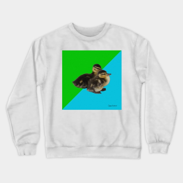 Baby Ducks 1 on Grass Green and Sky Blue Crewneck Sweatshirt by ButterflyInTheAttic